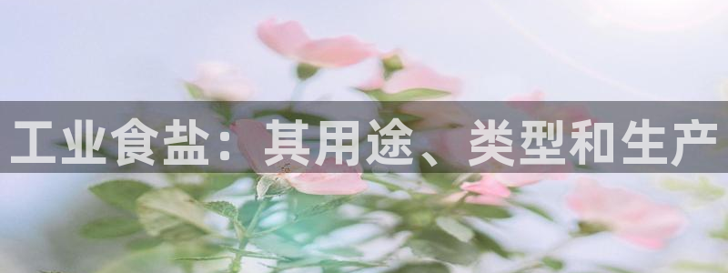 威九国际海域