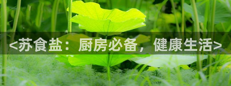 威九国际66m66大陆