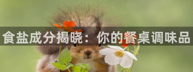 威九国际可以退钱吗怎么退