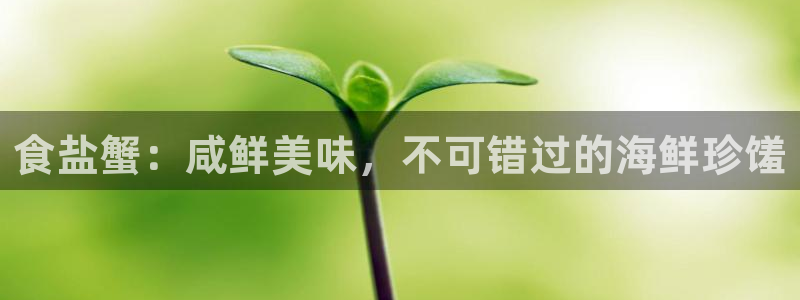 威九国际HP