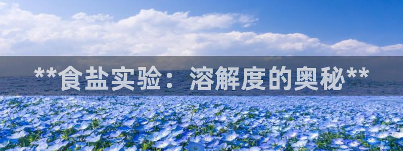 威九国际精选