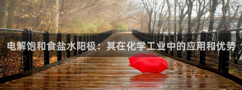 威九国际app客服电话多少