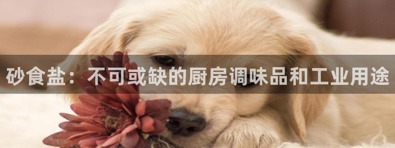 威九国际发布新版eBzxin2Tp