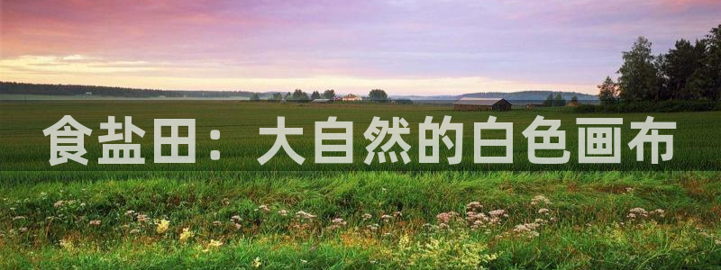 威九国际78mb下载