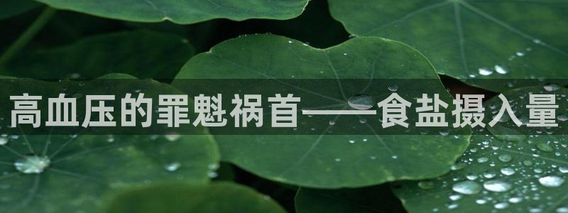 威九国际电子有限公司