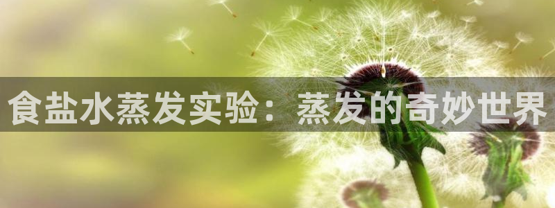 威九国际ppt免费下载网址