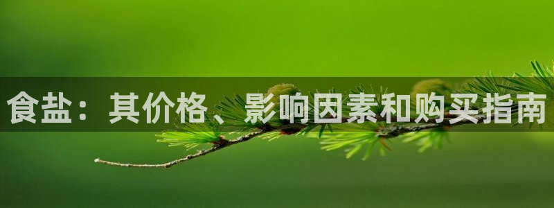威九国际精忐