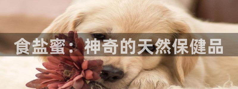 威九国际78m光伏巨头隆基绿能esg成色