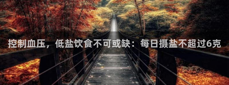 威九国际在线平台怎么样啊
