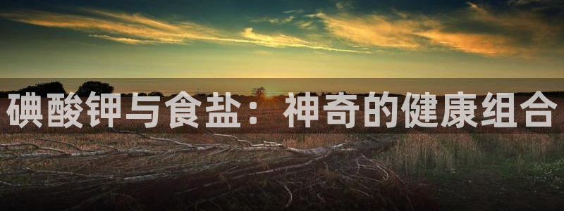 威九国际演员表