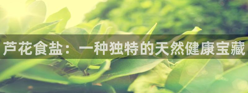 威九国际APP那个地方