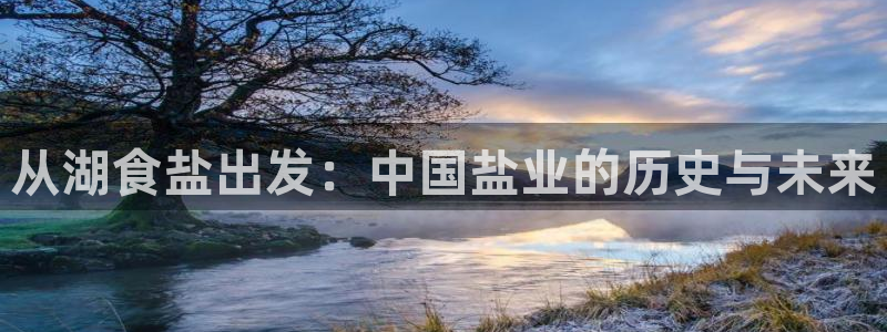 威九国际精忐