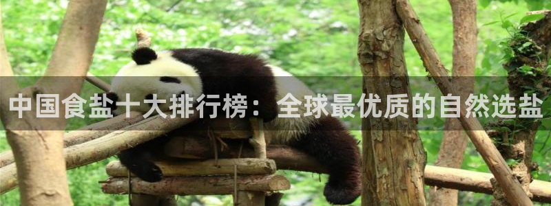 威九国际ppt免费吗