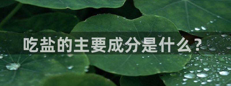 威九国际78m78免费