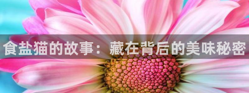 威九国际app无法登陆怎么回事