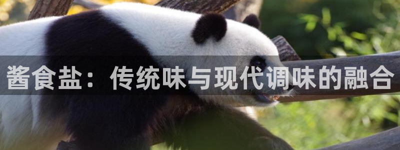威九国际取款多到账
