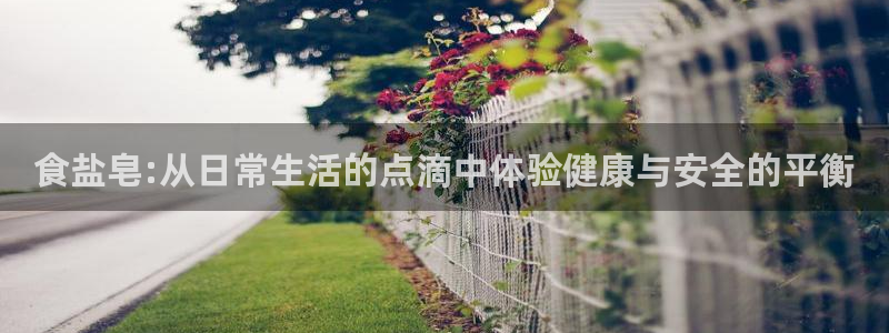 威九国际免费网络站
