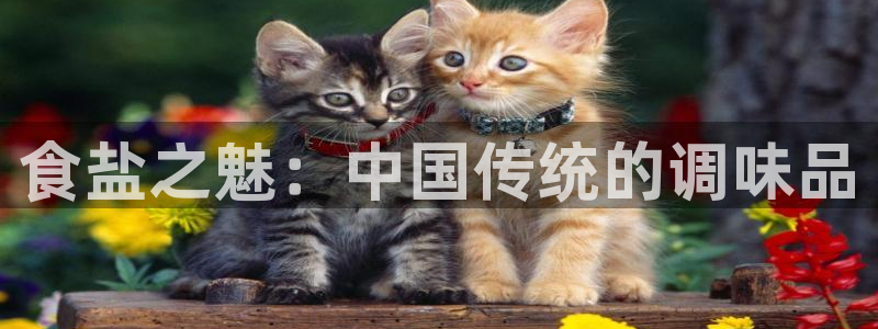 威九国际网站怎么样
