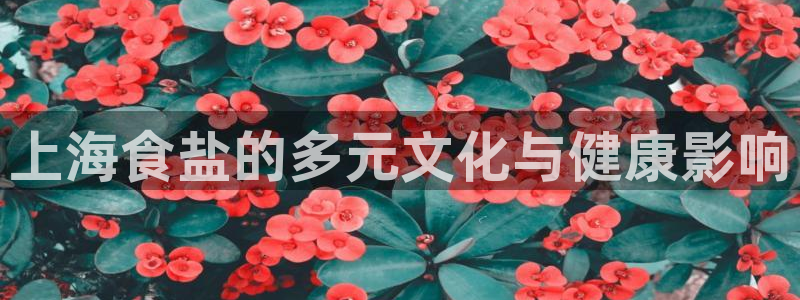威九国际女主角