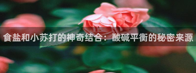 威九国际客服电话