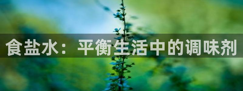 威九国际78mb游戏