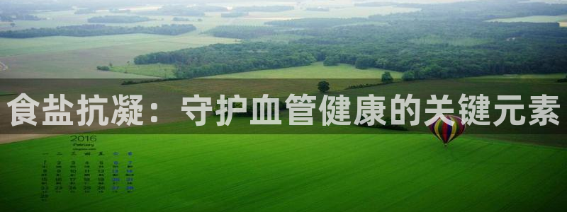 威九国际精忐