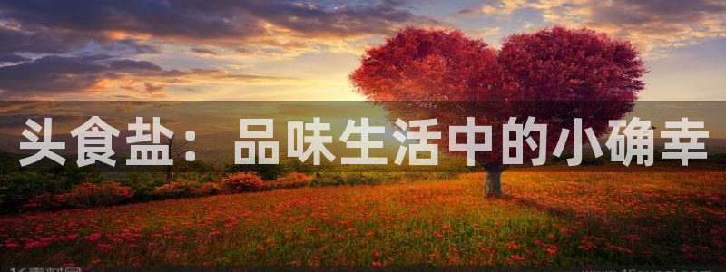 威九国际网站客服电话多少号