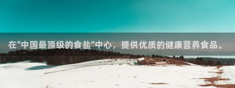 威九国际PPT