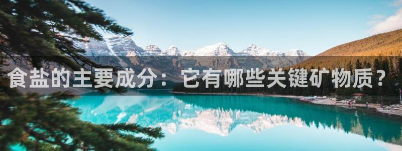 威九国际天美