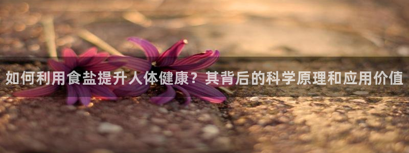 威九国际网站入口官网首页