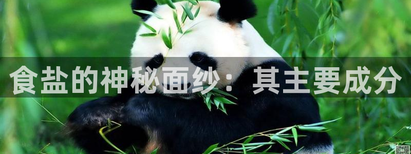 威九国际官网版下载