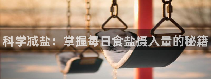 威九国际合作伙伴有哪些