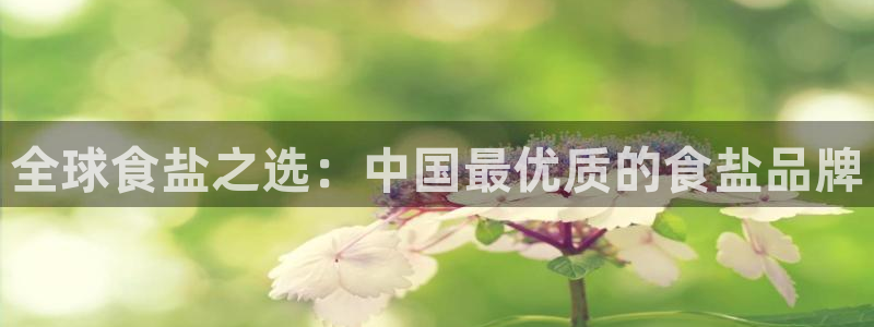 威九国际78mob