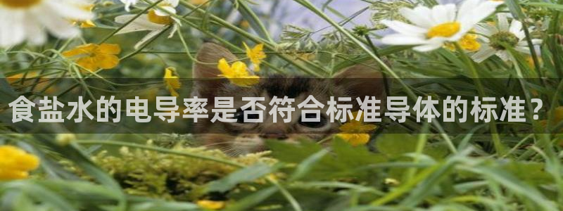 威九国际v96242cc官网版