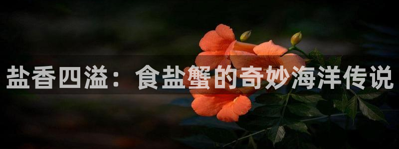 78mapp威九国际