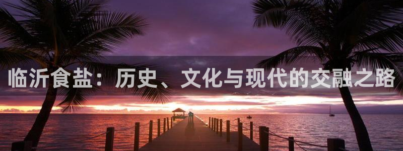 威九国际66m66