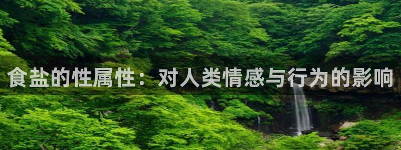 威九国际下载