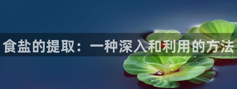 威九国际78mb官网版：食盐的提取：一种深入和利用的方法