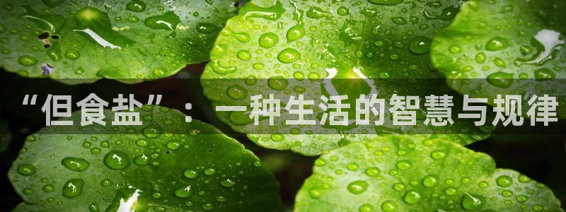 威九国际演员2023年最新作品