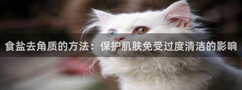 威九国际官网版下载