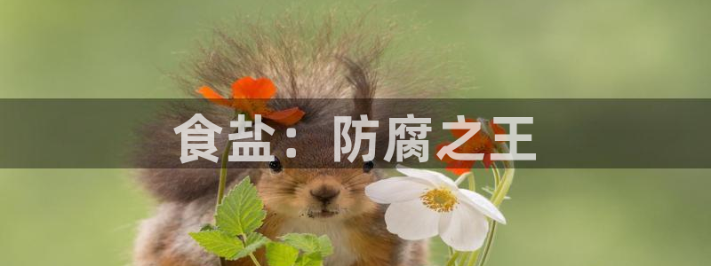 威九国际官网登录入口网址