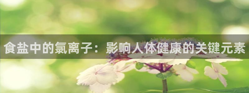 威九国际女神：食盐中的氯离子：影响人体健康的关键元素