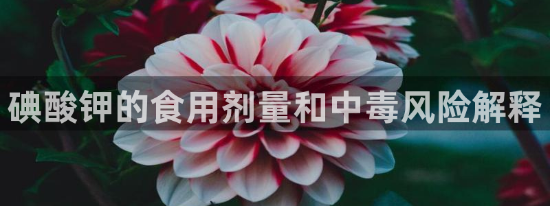 威九国际风情万种