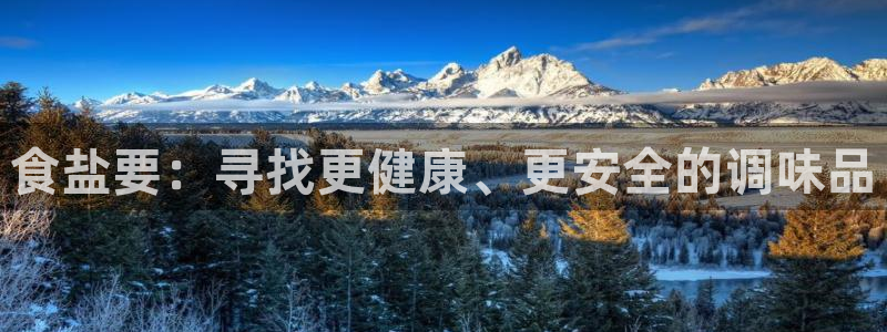 威九国际app入口官网