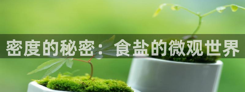 威九国际下载官网app