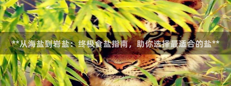 威九国际v96bet官网版