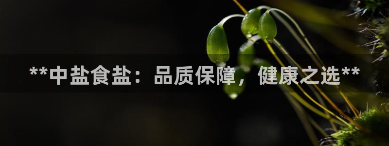 威九国际app客服电话号码