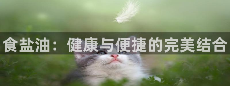 威九国际78m78免费