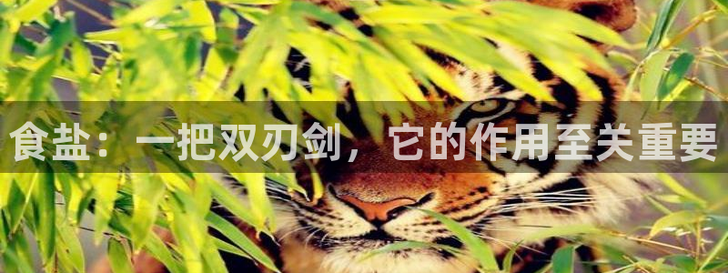 78mapp威九国际最新版