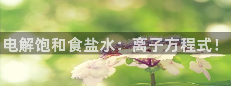 威九国际的金融服务有哪些